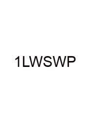 10 Letter Word Starts With P