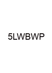 5 Letter Word Beginning With P