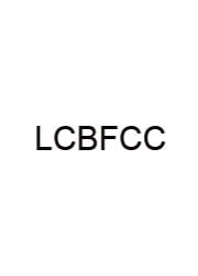 Long Curved Bike Features Crossword Clue
