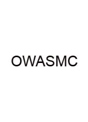 Org With A Style Manual Crossword