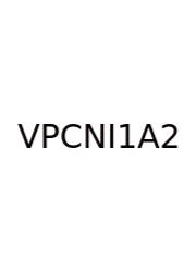 V.p. Candidate Name In '16 And '24