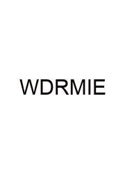 What Does Rhine Mean In English