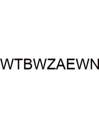 Words That Begin With Z And End With N