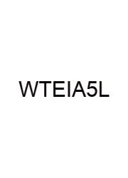 Words That End In Ard 5 Letters
