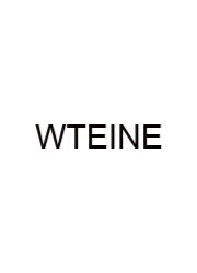Words That End In N E