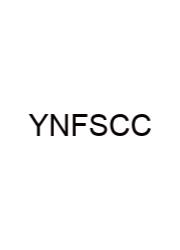 Yellowjackets Network For Short Crossword Clue