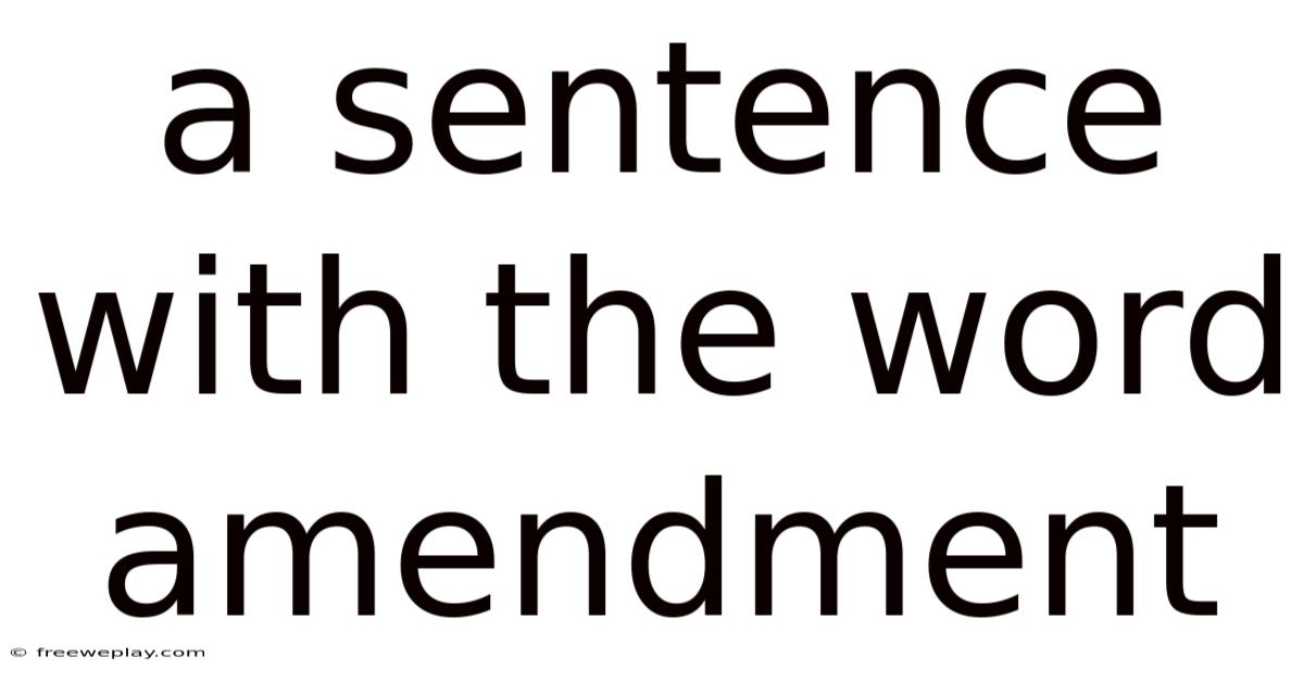A Sentence With The Word Amendment