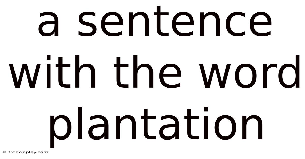 A Sentence With The Word Plantation