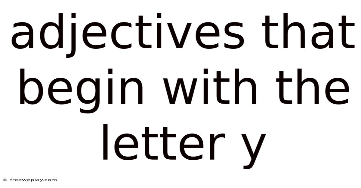 Adjectives That Begin With The Letter Y