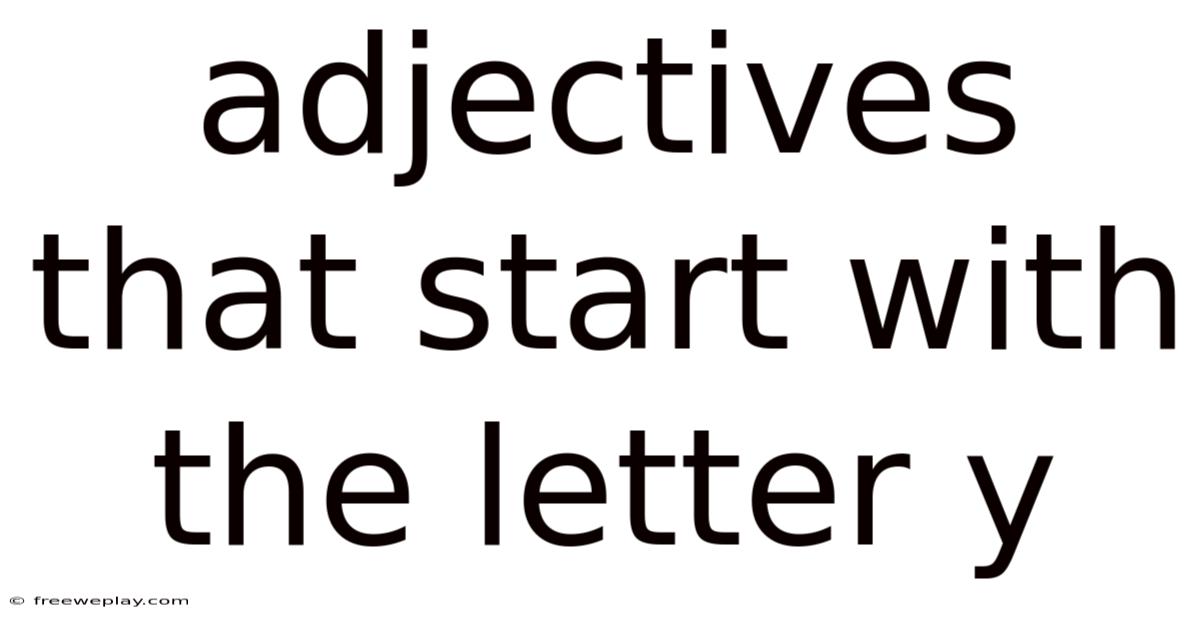 Adjectives That Start With The Letter Y