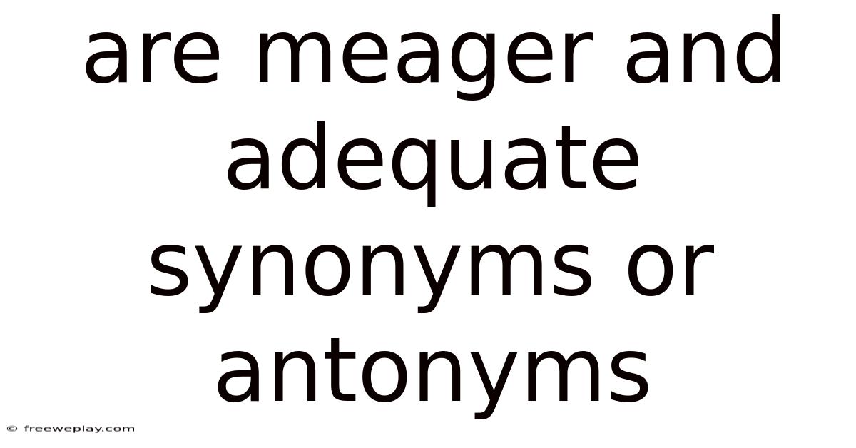 Are Meager And Adequate Synonyms Or Antonyms