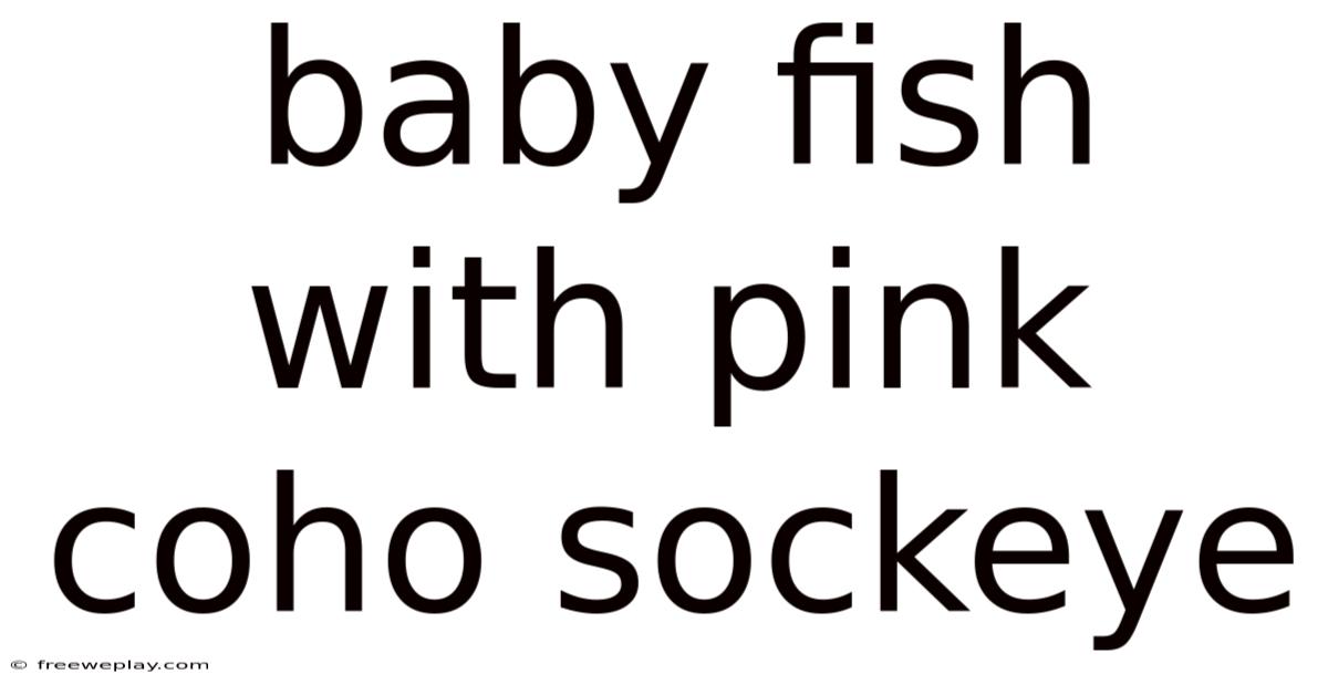 Baby Fish With Pink Coho Sockeye