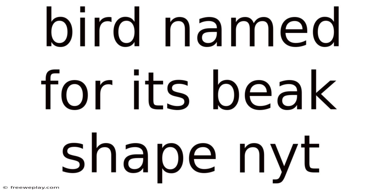 Bird Named For Its Beak Shape Nyt
