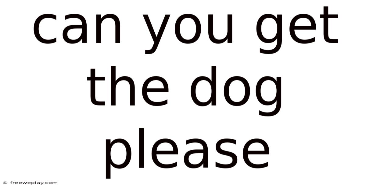 Can You Get The Dog Please