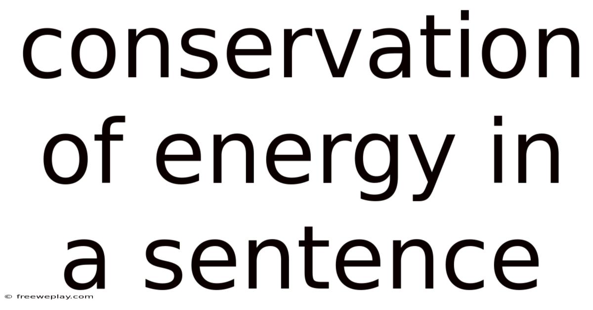 Conservation Of Energy In A Sentence