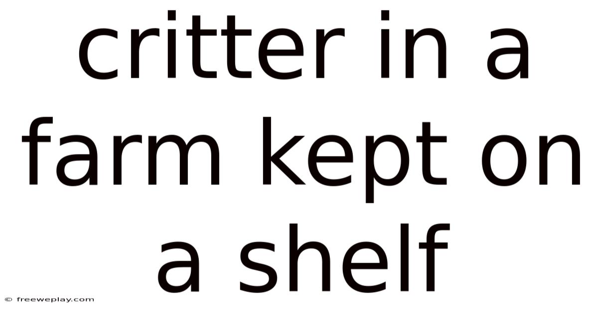 Critter In A Farm Kept On A Shelf