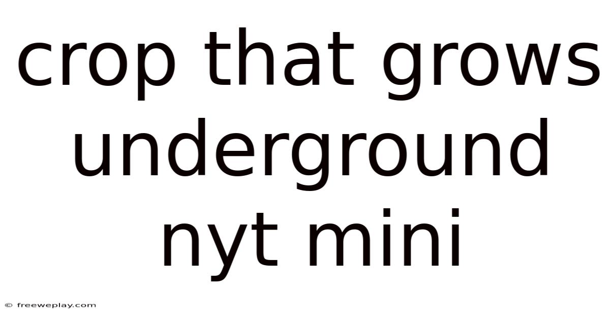 Crop That Grows Underground Nyt Mini