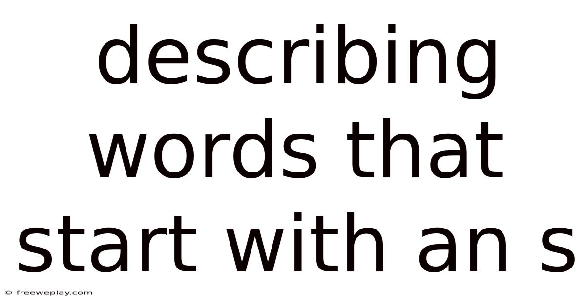 Describing Words That Start With An S