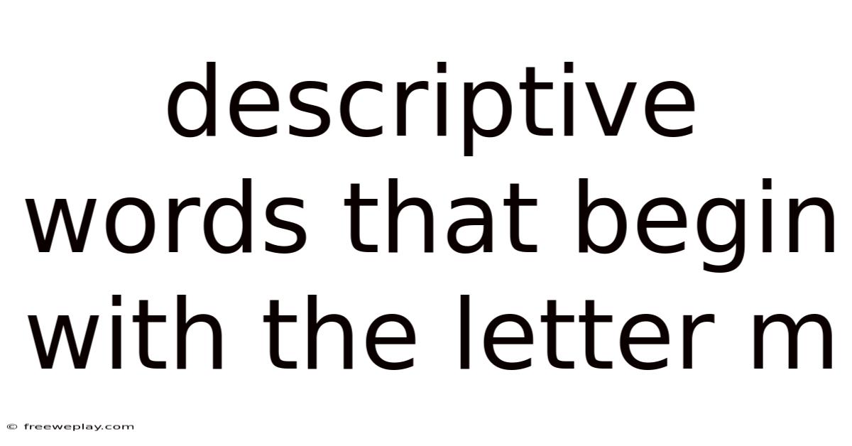 Descriptive Words That Begin With The Letter M