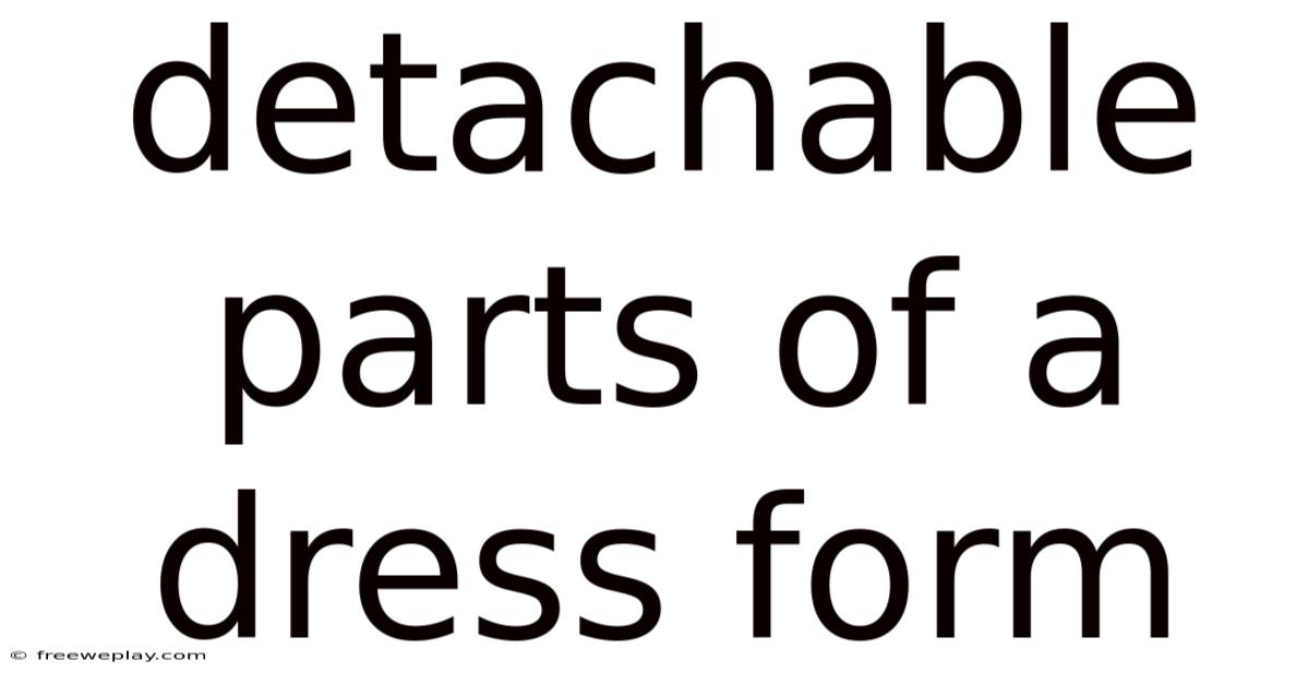 Detachable Parts Of A Dress Form