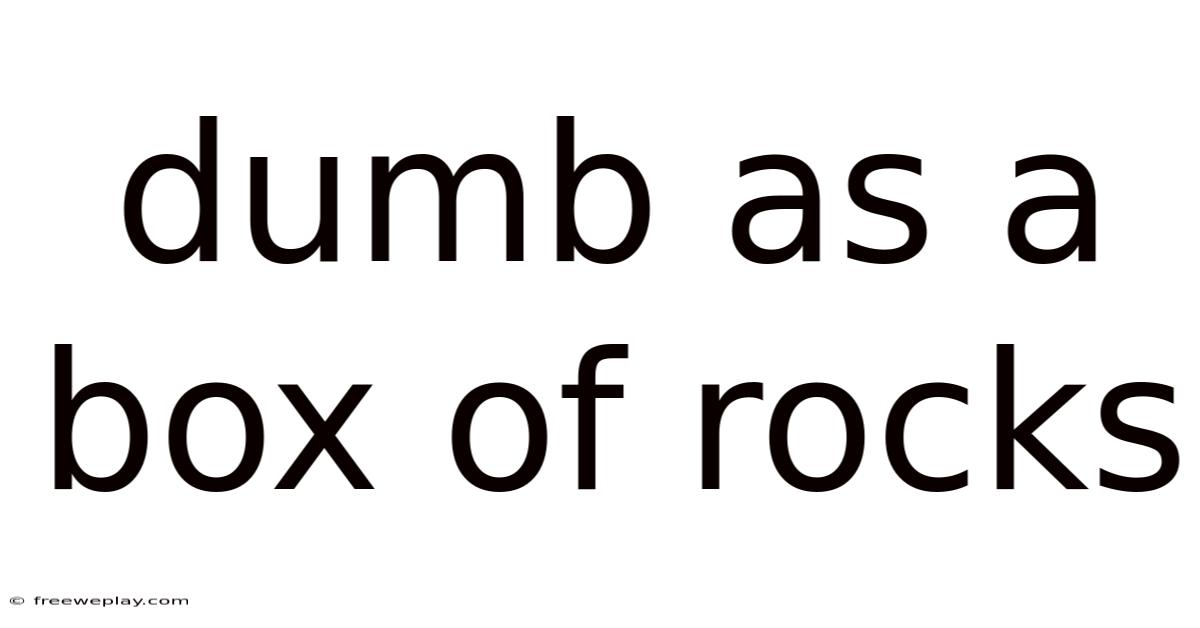 Dumb As A Box Of Rocks