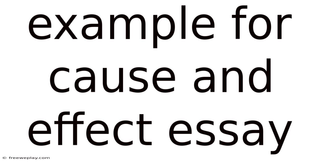 Example For Cause And Effect Essay