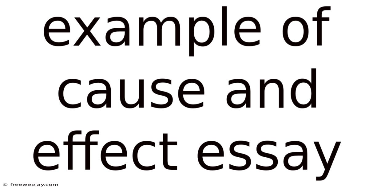 Example Of Cause And Effect Essay