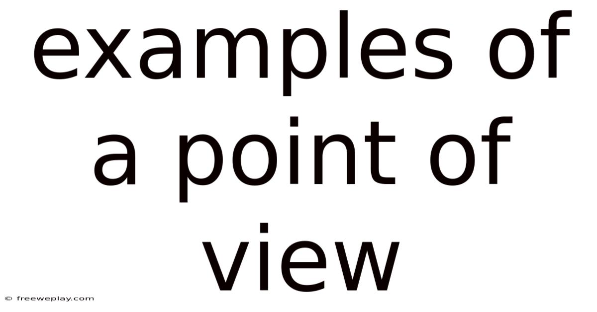 Examples Of A Point Of View
