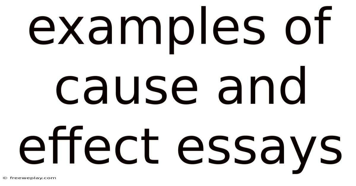 Examples Of Cause And Effect Essays
