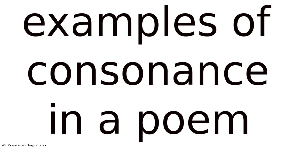 Examples Of Consonance In A Poem