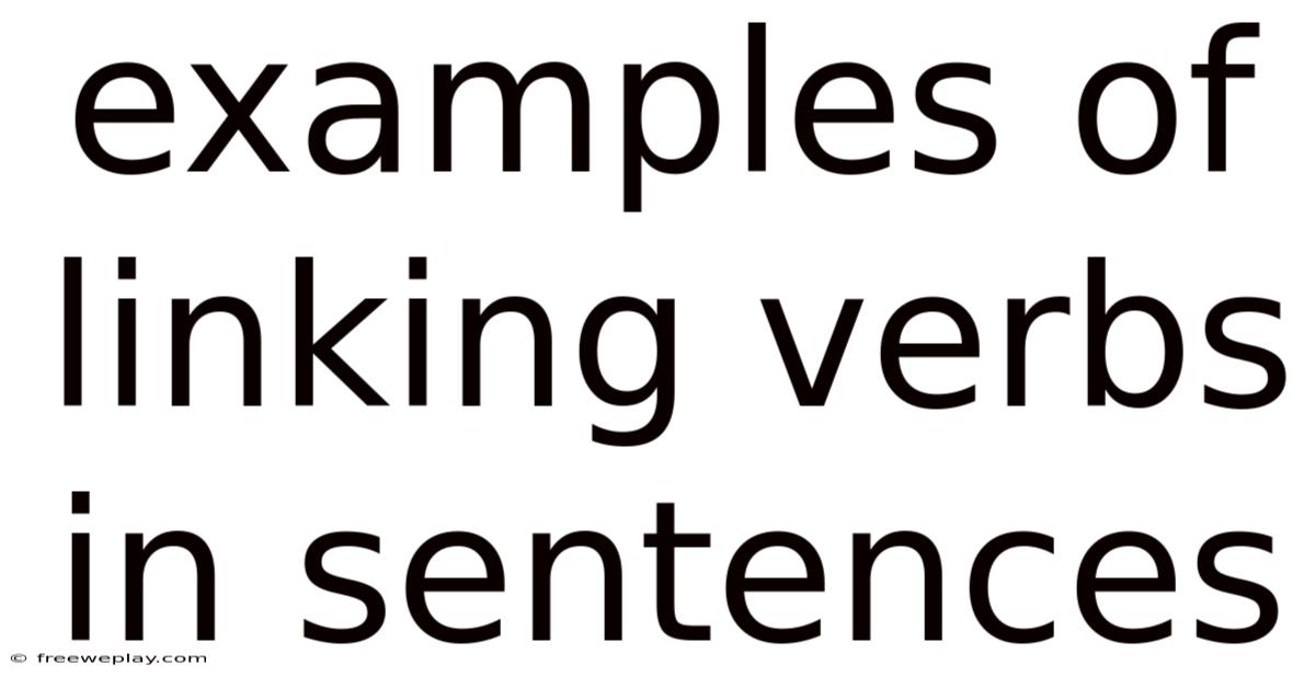 Examples Of Linking Verbs In Sentences