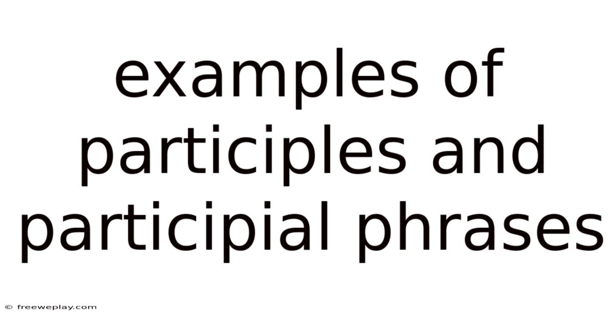 Examples Of Participles And Participial Phrases