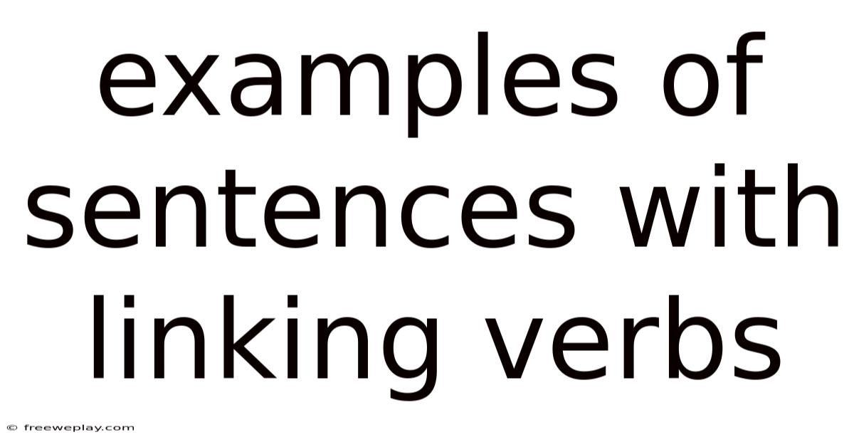 Examples Of Sentences With Linking Verbs