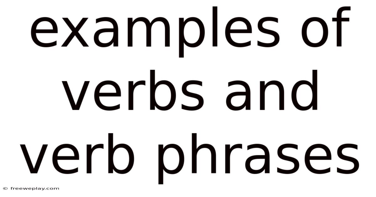 Examples Of Verbs And Verb Phrases