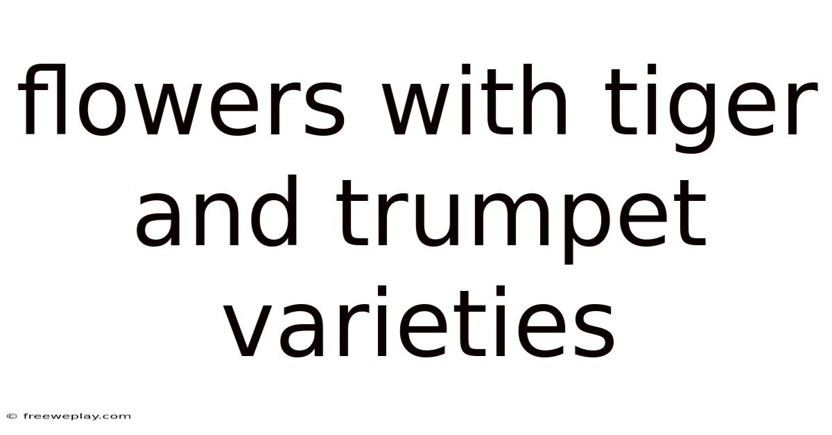 Flowers With Tiger And Trumpet Varieties