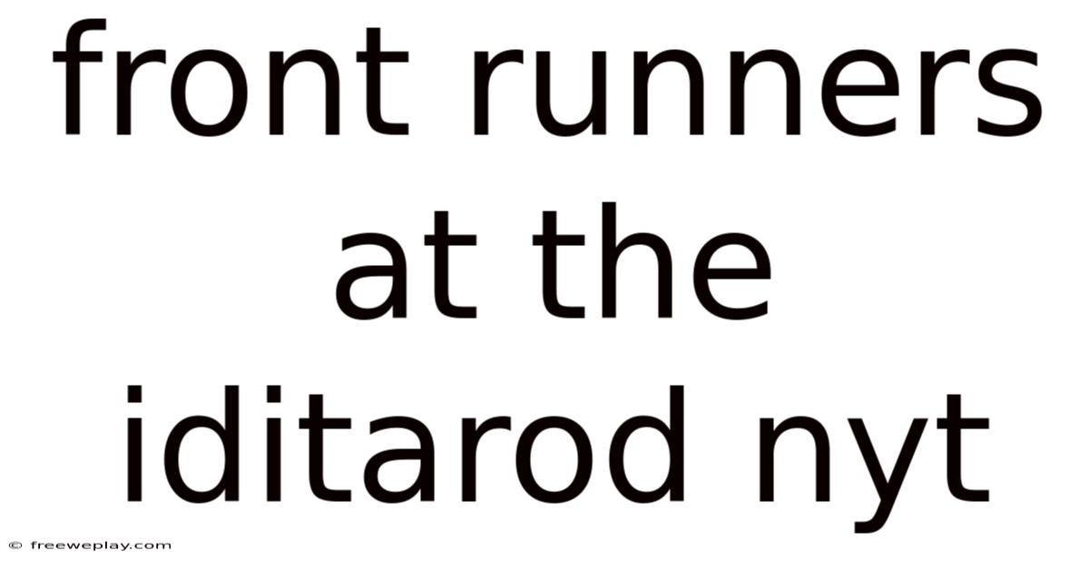 Front Runners At The Iditarod Nyt