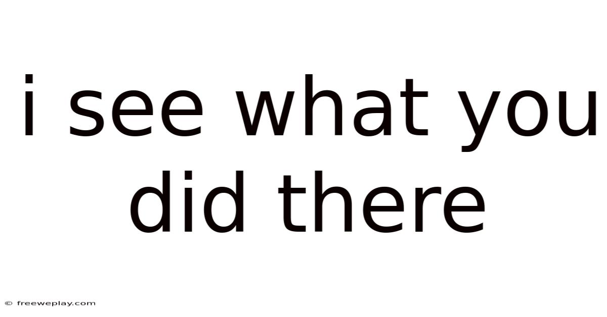 I See What You Did There