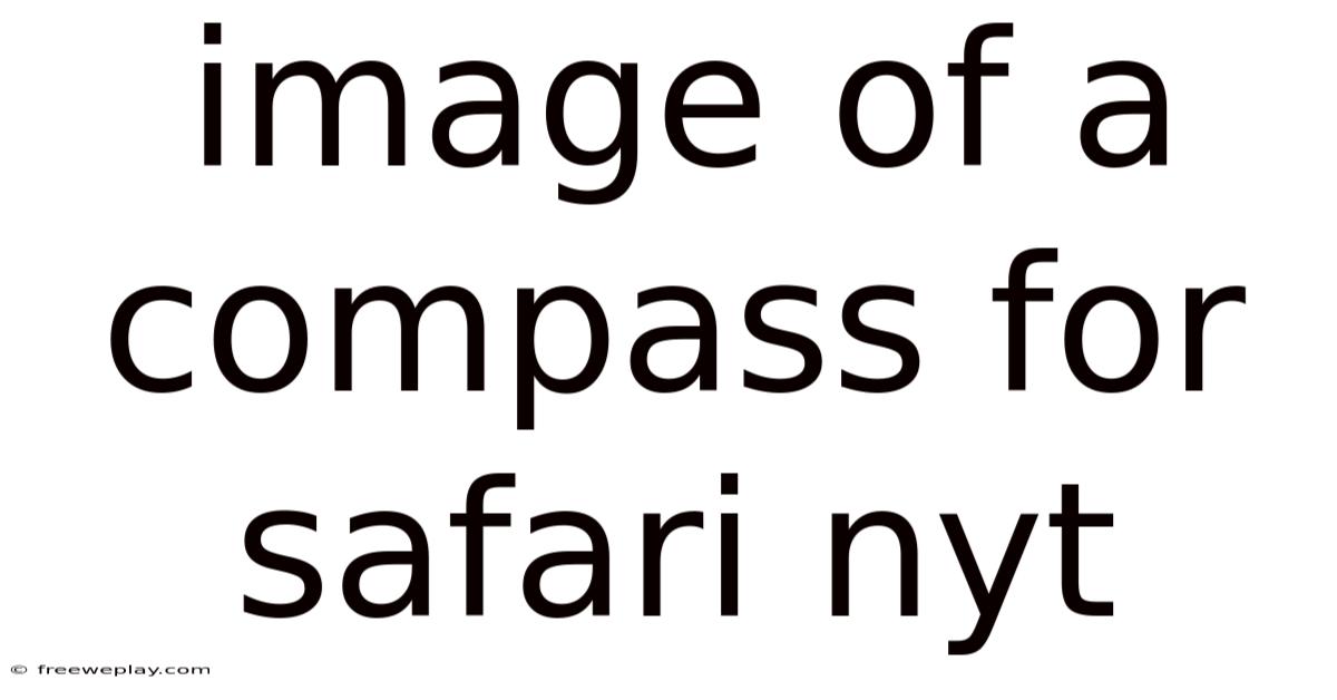 Image Of A Compass For Safari Nyt
