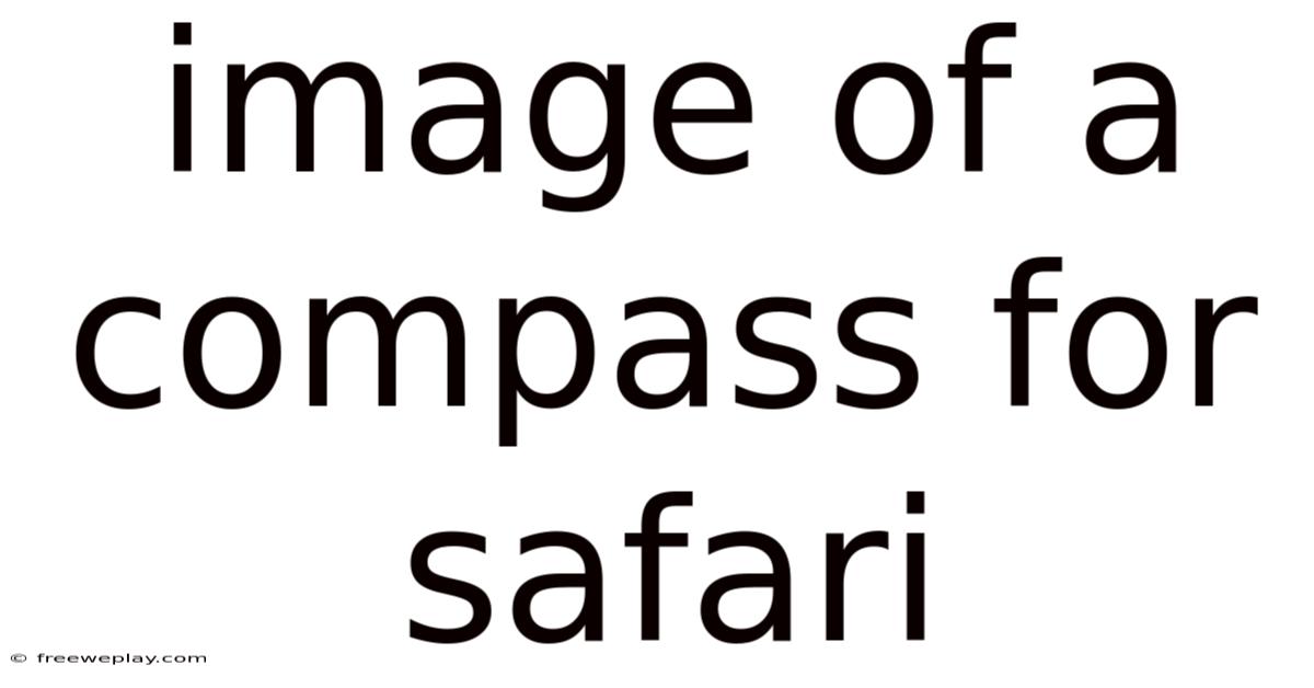 Image Of A Compass For Safari