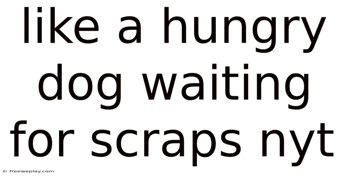 Like A Hungry Dog Waiting For Scraps Nyt