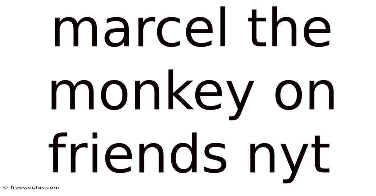 Marcel The Monkey On Friends Nyt