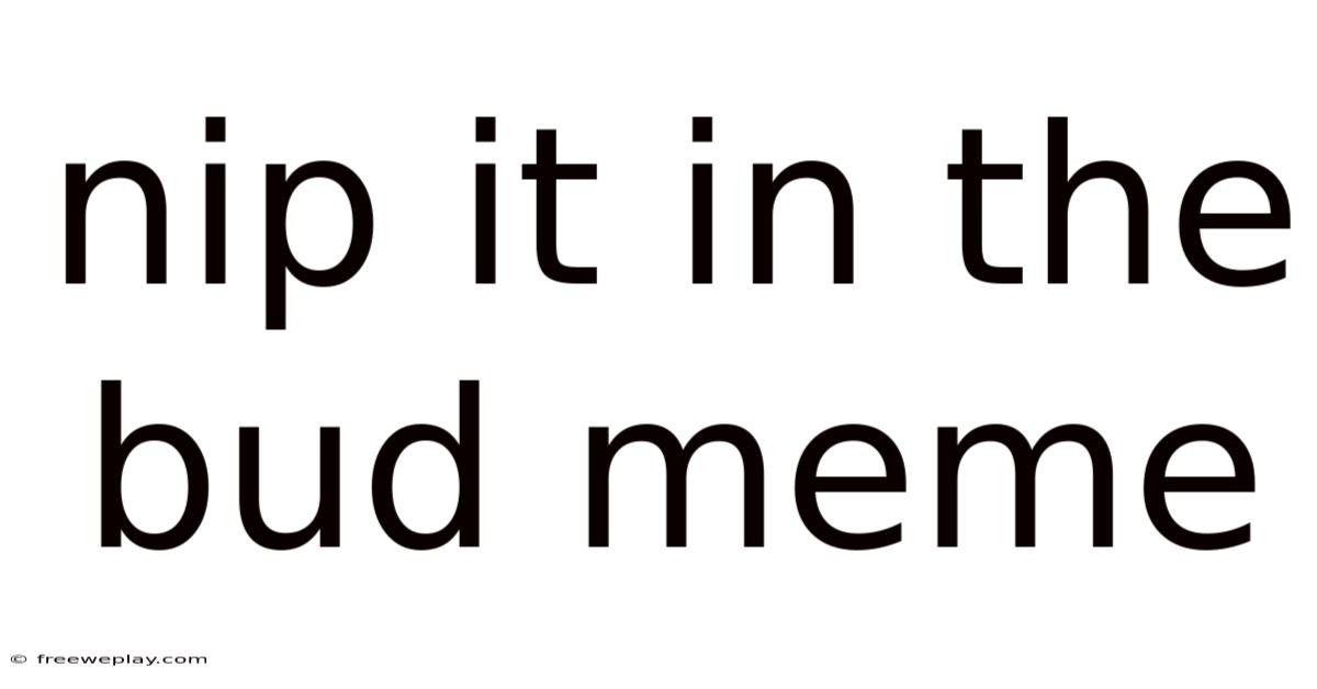 Nip It In The Bud Meme
