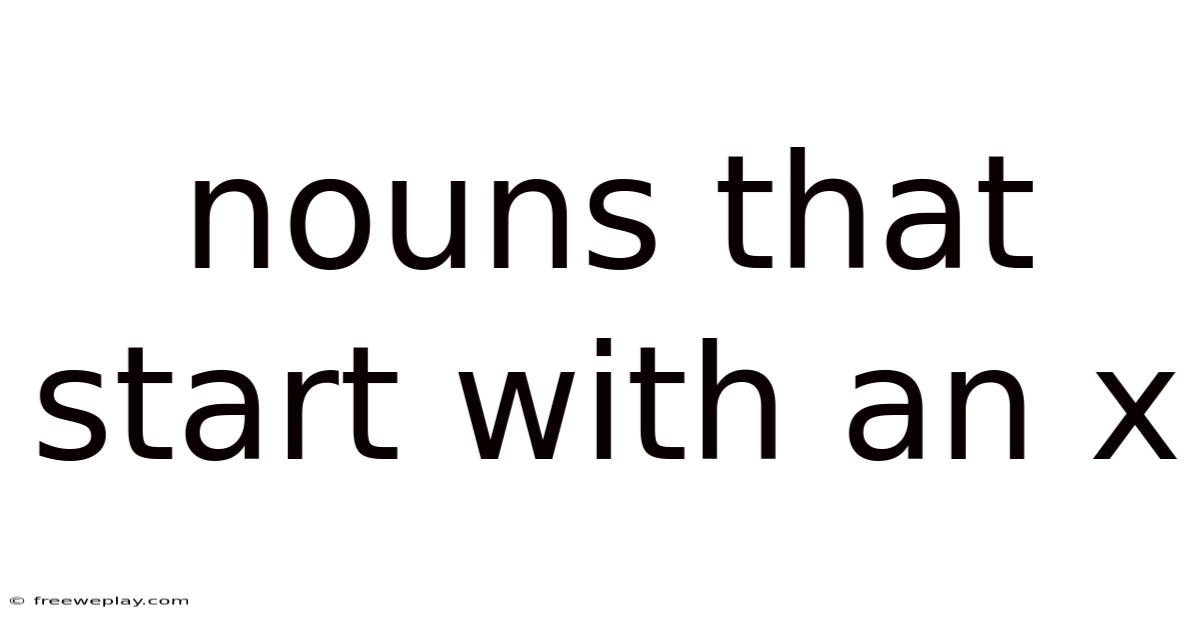 Nouns That Start With An X