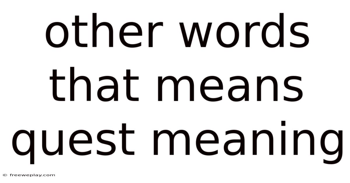 Other Words That Means Quest Meaning
