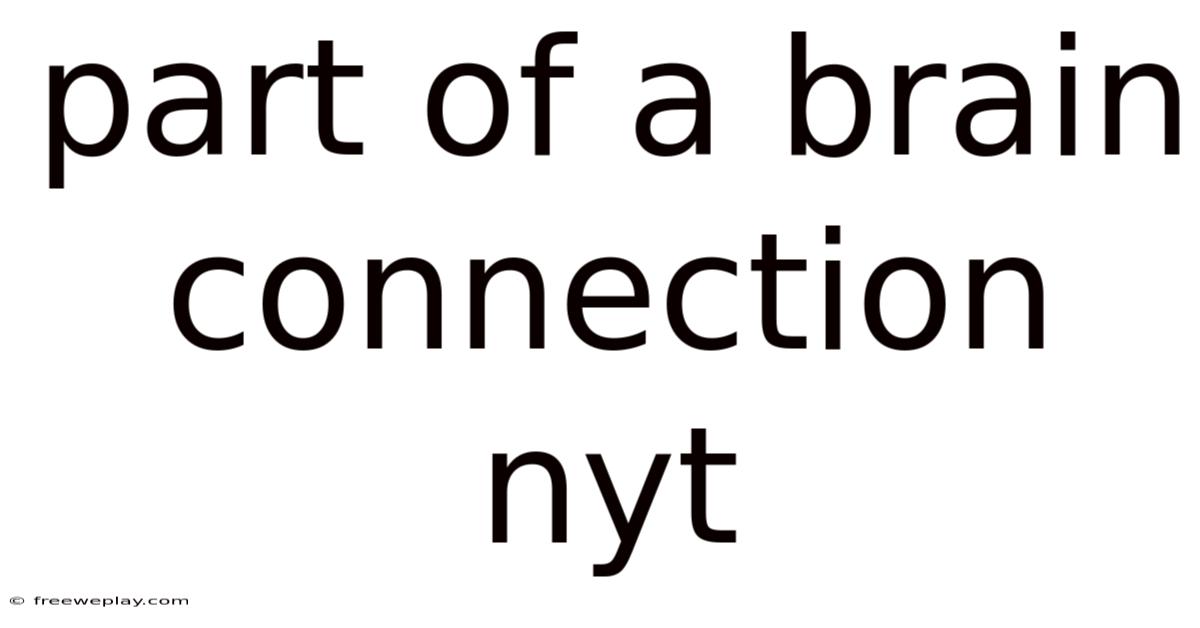 Part Of A Brain Connection Nyt