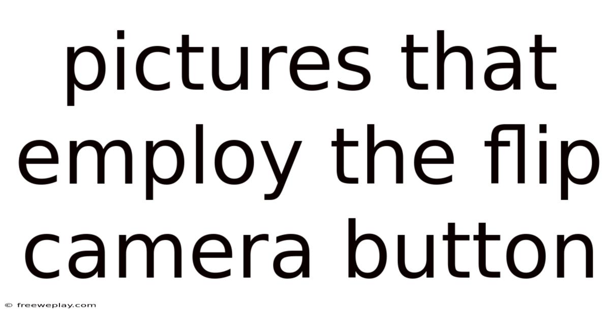 Pictures That Employ The Flip Camera Button