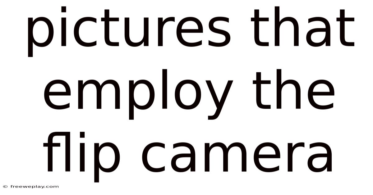 Pictures That Employ The Flip Camera