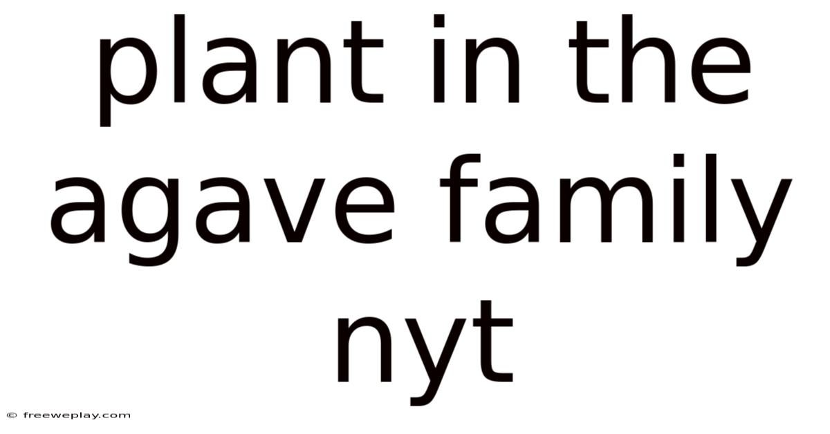 Plant In The Agave Family Nyt