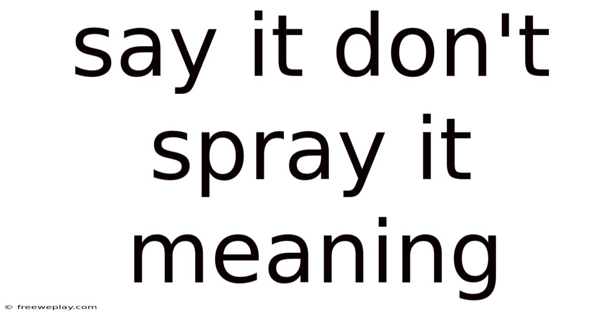 Say It Don't Spray It Meaning