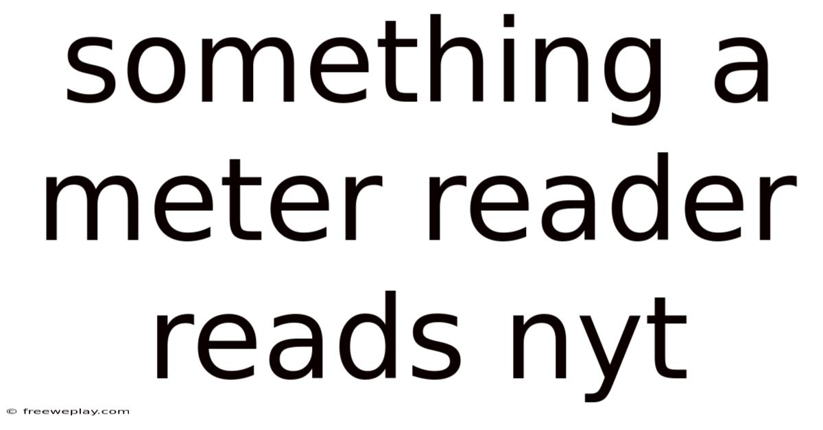 Something A Meter Reader Reads Nyt